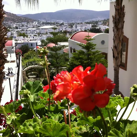 Ozukara 2 غومْبيت