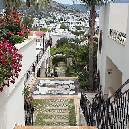 Ozukara 2 3* غومْبيت