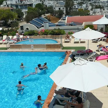 Ozukara 2 غومْبيت