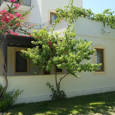 Ozukara 2 غومْبيت