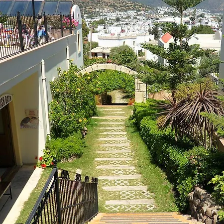 Ozukara 2 3* Gümbet